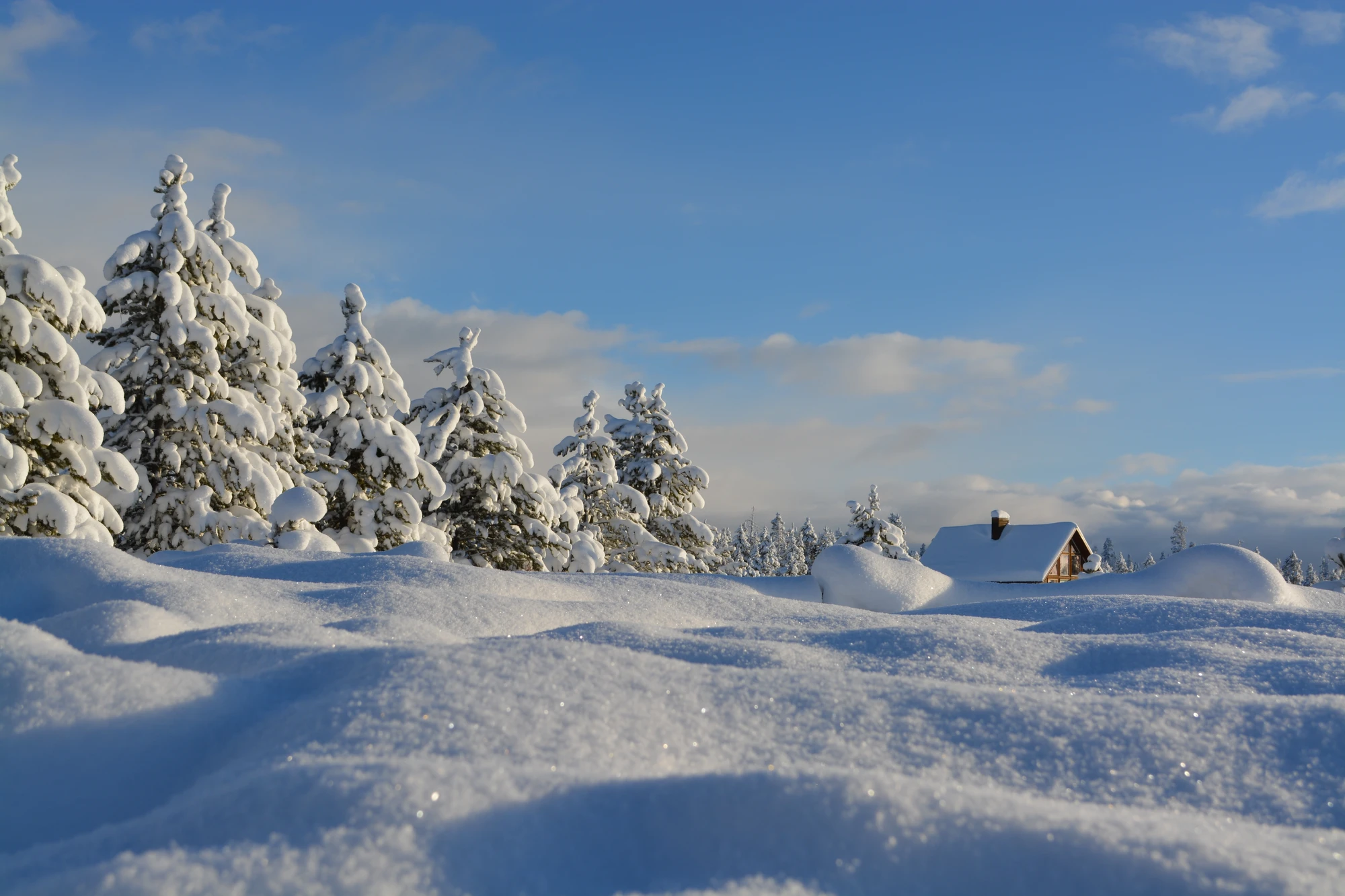 Schneebedeckte Landschaft mit Tannenbäumen und einem kleinen Holzhaus im Hintergrund unter klarem Himmel.